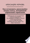 Как остановить движущийся вперед поезд, потерявший управление тормозами. Совершенно нестандартная теория машиниста, не сумевшего пробить глухую стену безразличия и отсутствия желания руководства ОАО «РЖД» что-либо понимать