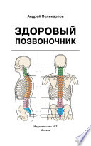 Здоровый позвоночник