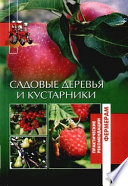 Садовые деревья и кустарники