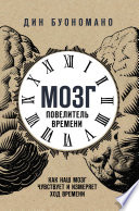 Мозг – повелитель времени