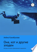 Она, кот и другие злодеи