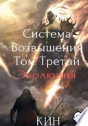 Система Возвышения. Том третий. Эволюция