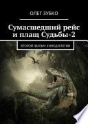 Сумасшедший рейс и плащ Судьбы – 2. Второй фильм кинодилогии