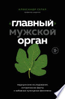 «Главный» мужской орган. Медицинские исследования, исторические факты и забавные культурные феномены