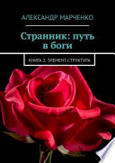 Странник: путь в боги. Книга 2: элемент-структура