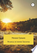 Медведь по имени Заплатка, или Новые приключения Витьки Картошкина и его верной команды