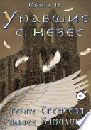 Упавшие с небес. Книга вторая. Война Семи Небес