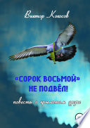 «Сорок восьмой» не подвёл (повесть о крылатом друге)