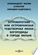 Островоротная или Остробрамская чудотворная икона Богородицы в городе Вильне