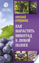 Как вырастить виноград в любой полосе