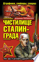 Чистилище Сталинграда. Штрафники, снайперы, спецназ (сборник)