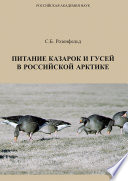 Питание казарок и гусей в Российской Арктике
