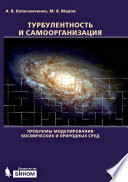 Турбулентность и самоорганизация. Проблемы моделирования космических и природных сред