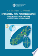 Хромосомы типа ламповых щеток. Современные представления и перспективы исследований