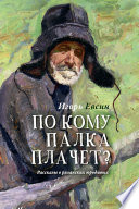 По кому палка плачет? Рассказы о рязанских юродивых