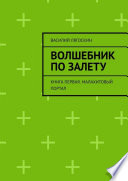 Волшебник по залету. Книга первая. Малахитовый портал