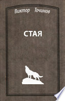 Стая