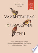 Удивительная философия птиц. Как ласточки относятся к смерти, горлицы сохраняют романтику в отношениях, а утки спасаются от стресса