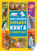 Моя первая большая книга о животных