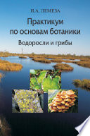 Практикум по основам ботаники. Водоросли и грибы