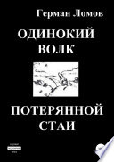 Одинокий волк потерянной стаи