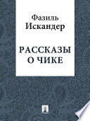 Рассказы о Чике