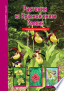 Растения из Красной книги России