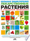 Большая энциклопедия. Лекарственные растения в народной медицине