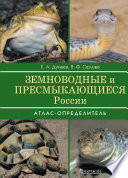 Земноводные и пресмыкающиеся России