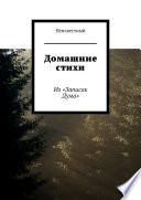 Домашние стихи. Из «Записок Дума»