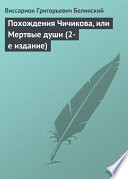 Похождения Чичикова, или Мертвые души (2-е издание)