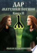 Дар матушки Йогини. Книга 2