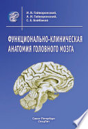 Функционально-клиническая анатомия головного мозга