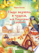 Надо верить в чудеса, или Рождество в деревне