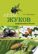 Атлас жуков средней полосы России