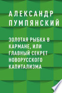 Золотая рыбка в кармане, или Главный секрет новорусского капитализма