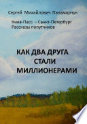 Как два друга стали миллионерами. Киев-Пасс. – Санкт-Петербург. Рассказы попутчиков