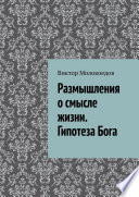 Размышления о смысле жизни. Гипотеза Бога