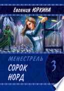 Сорок Норд. Менестрель. Книга 3