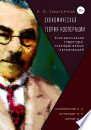 Экономическая теория кооперации. Экономическая структура кооперативных организаций