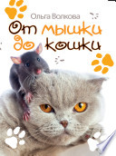 От мышки до кошки