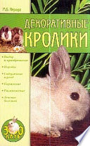 Декоративные кролики