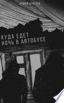 Куда едет ночь в автобусе