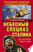 Небесный спецназ Сталина. Из штрафной эскадрильи в «крылатые снайперы» (сборник)