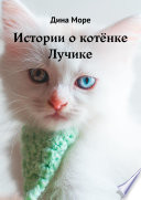 Истории о котёнке Лучике