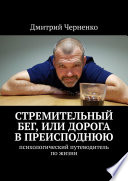 Стремительный бег, или Дорога в преисподнюю. Психологический путеводитель по жизни