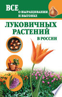 Все о выращивании и выгонке луковичных растений в России