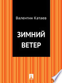 Зимний ветер