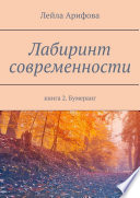 Лабиринт современности. Книга 2. Бумеранг