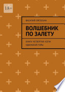 Волшебник по залету. Книга четвертая: Копи Одинокой горы